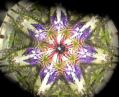 万華鏡　カレイドスコープ　Apres le pluie 14950 フランス製 Amazon.co.jp: 万華鏡 カレイドスコープ Apres le pluie 14950