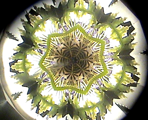 万華鏡カレイドスコープApres le pluie 14950 フランス製