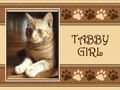 Photo Throw Blanket Cat