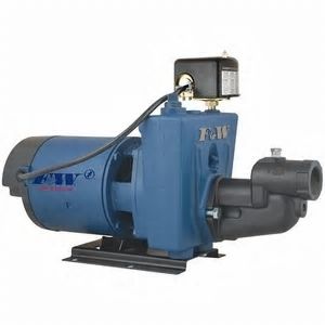 Flint & Walling 24 GPM, 1-1/2 HP CPJ15S-K Shallow Well Jet Pump (C)