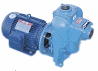 MP Pumps Flomax 10, 2" 210 GPM Self Priming Close Coupled Pump<br>