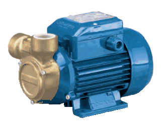 Pedrollo Peripheral Turbine Pump .60 HP 115 V 60Hz 1 Phase # PQm81-BS (C)