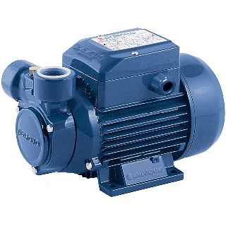 Pedrollo Peripheral Turbine Pump 1/2 HP 230 V 1 Phase 60Hz 8 GPM # PQm60-230 (C)