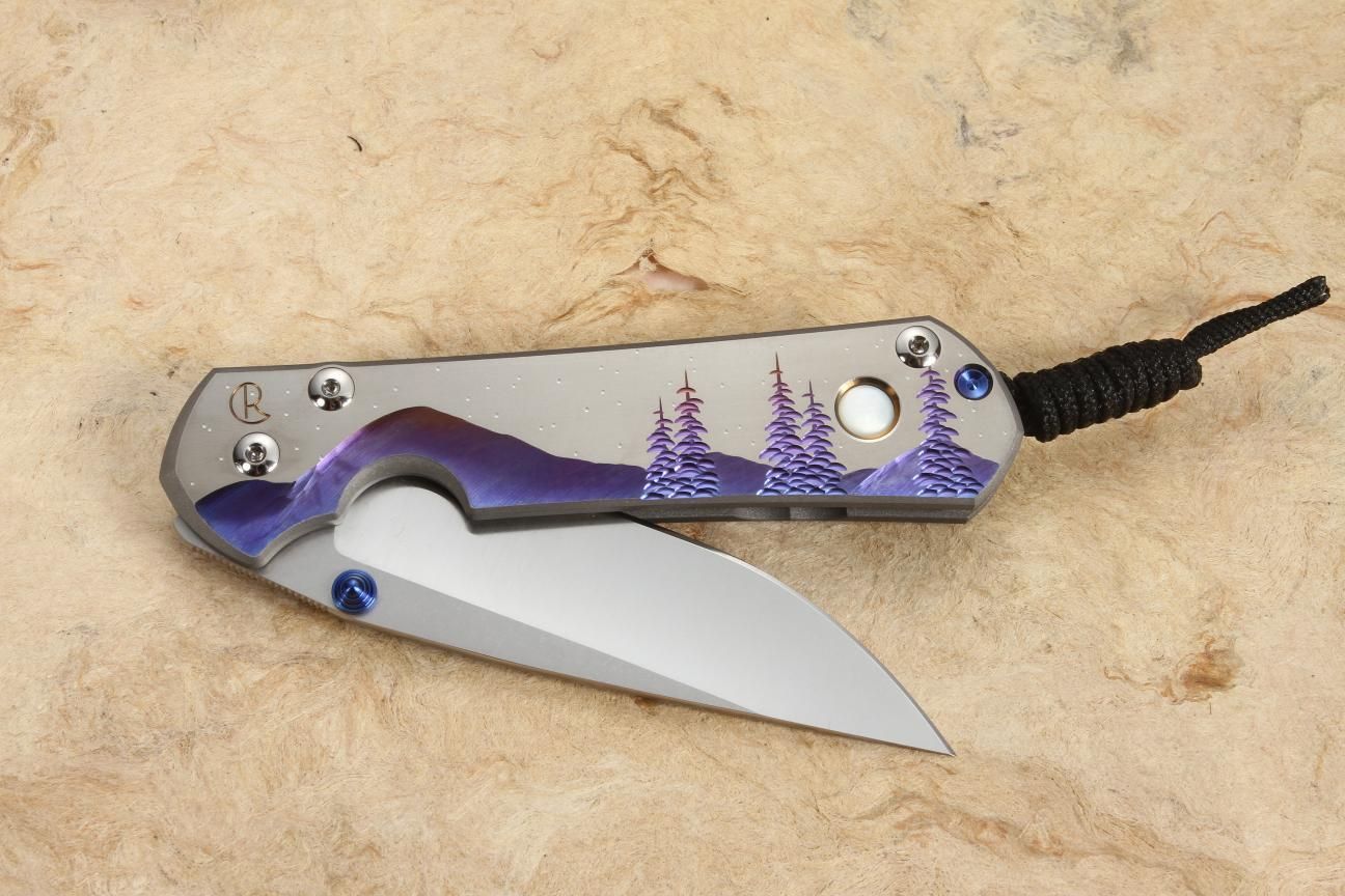 Chris Reeve Knives Large Sebenza 31 Night Sky Folding Knife Unique