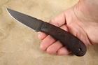 Winkler SD2 - Exclusive Topo Maple Handle