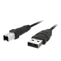 Hi-Speed USB 2.0 Cable - Type A Male USB - Type B Male USB - 6ft