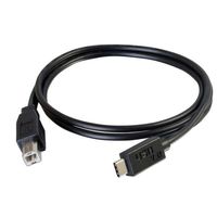 6ft USB-C to USB-B (USB 2.0) Cable M/M - Black