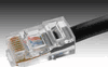 CAB-CAT5-100 - Gefen CAB-CAT5-100 - Click To Enlarge