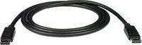 NTI 25 ft. DisplayPort Cable, Male-to-Male - 4Kx2K