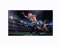 Panasonic 43Inch 4K UHD Entry-Level Professional Display
