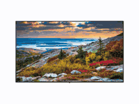 Panasonic 43Inch 4K UHD LED LCD Entry-Level Professional Display
