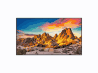 Panasonic 43Inch 4K UHD LED LCD Standard Indoor 24/7 SDM Display
