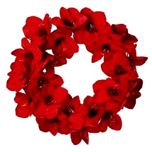 22" Velvet Amarylis red wreath by Regency
