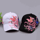  baseball caps and more