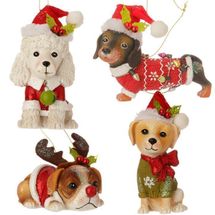 Raz Imports dog puppy ornament poodle dachsund golden