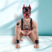 December Diamonds Pup poke the bear ornament  Feb 2024