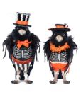 Edgar Allen & Poe crows set of 2 9.5