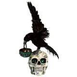 Katherine's Collection Halloween 2026  Enchanted Emerald Widow Watchful Crow with tea light lantern on skull