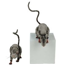 Katherine's Collection Halloween 2026  Kiss of Death Table top and ledge hanging Rats set of 2