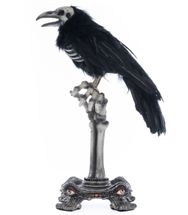 Katherine's collection crow on skeleton hand perch 14.5