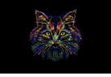 Multi cat face rhinestone crystal premium shirt black or white S to 3X