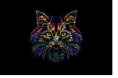 Multi cat face rhinestone crystal premium shirt black or white S to 3X