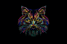 Multi cat face rhinestone crystal premium shirt black or white S to 3X