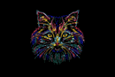 Multi cat face rhinestone crystal premium shirt black or white S to 3X