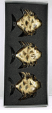 Seasons Designs Gold painted with glitter mouthblown Glass Fish Box set of 3