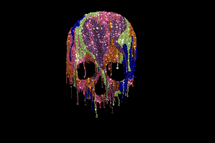 Premium rhinestone crystal dripping skull shirt S to 3X