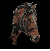 Premium rhinestone crystal horse shirt S to 3X