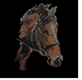 Premium rhinestone crystal horse shirt S to 3X