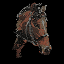 Premium rhinestone crystal horse shirt S to 3X