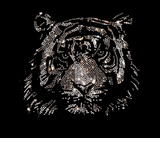 Premium rhinestone crystal silver tiger face shirt S to 3X