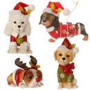 Raz Imports dog puppy ornament poodle dachsund golden