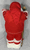 Seasons Designs 18" Santa Claus on wooden sleigh with teddy bear