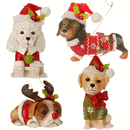 Raz Imports dog puppy ornament poodle dachsund golden