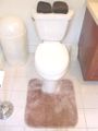 Decorative Plush Bathroom Contour Rug