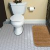 Decorative Plush Bathroom Rug 30x50"