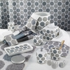 Dotted Circles Shower Curtain & Bath Accessories by Avanti Linens