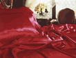 King Size Sheet Set