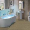 Wall to Wall Bath Carpet  5' x 6'
