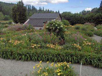 Early June - Overview of main garden by creek