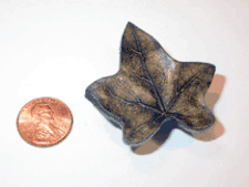 Ivy Cabinet Knob