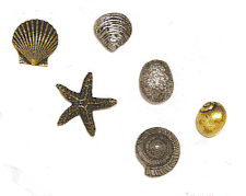 Sea Life Magnets