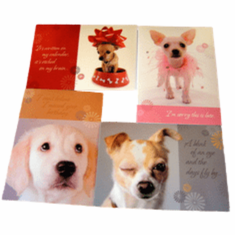 Belated Birthday Pals - Box of 12 Greeting Cards
