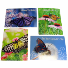 Butterfly Birthday - 12 Greeting Cards