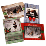 Christmas Horses-12 Greeting Cards