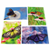 Encouraging Thoughts - 12 Greeting cards