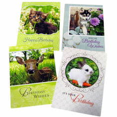 Favorite Friends Birthday - 12 Greeting Cards
